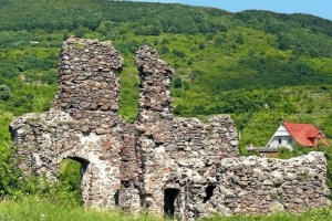Замок Канків, Виноградів